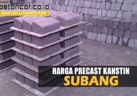 harga kanstin subang